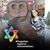 Julie Vinnik Novack's profile image