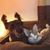 Reiko Idell's profile image