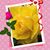 Maria Aviles's profile image