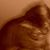 Feather Rose's profile image