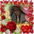 Robert Lucero's profile image