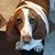 Louise Afanasiw's profile image