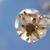 Christine Miazga's profile image