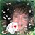 Andrea Barrera Price's profile image