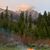 Sharon Shern's profile image
