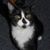Jamie Jackson's profile image