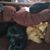 Gregory Richard Lampron's profile image