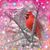 Wendy Harrell Briscoe's profile image