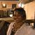 April J Brown's profile image