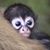 Pamelia LaBuda's profile image