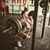 Jerrod Sturdevant-Newhouse's profile image