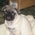 Terry Quatsoe's profile image