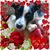 Loretta Johnson's profile image
