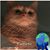Dwight L. Jones's profile image