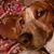 Lindsay Schendel-Leflay's profile image