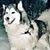 Denise Walker's profile image