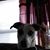 Gloria Stuart's profile image