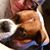 Judy Gilbert's profile image
