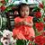 Maria Dominguez's profile image