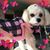 Darlene Forseth's profile image