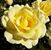 Kathleen Cox's profile image