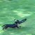 Steve Ann Roseberry's profile image