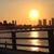 Iris Micou's profile image