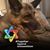 Marcie Bridges's profile image