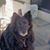 Roberta Soto's profile image