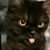 Lisa Jenkins's profile image