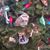 Bob Pfeifer's profile image