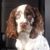 Bob Holtzapple's profile image