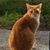 Leroy Kersey's profile image