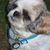Pam Jordan's profile image