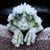 Cathy 'Corben' Flint's profile image