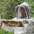 Linda Anderson Zielinski's profile image