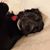 Sydney Gray's profile image