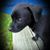 Michael Murphy's profile image