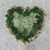 Demona Shipman's profile image