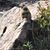 Tara Szejner McQuade's profile image