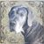 Shanda Thomas's profile image