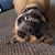 Bones McCoy Eckard's profile image