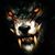 Ghosts Recon's profile image