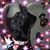 Sue Freeman-Banks's profile image