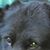 Callie Leigh's profile image