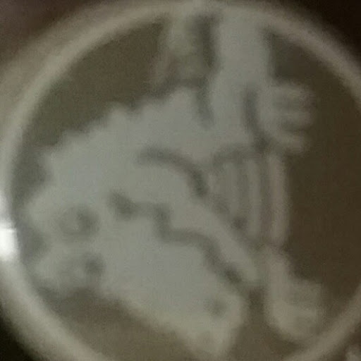 Rosie's profile image