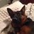 Jasmine Theobald Spence's profile image