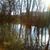 Rachel Ridgeway's profile image