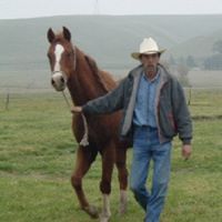 Paul Batsel's profile image