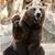 Melissa Edwards's profile image